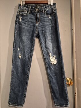 Judy Blue Medium Wash Distressed Skinny Jeans